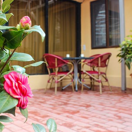 Lasha Apartment Тбилиси Екстериор снимка